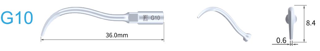 G10