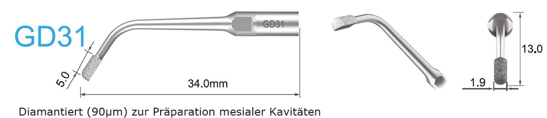 GD31